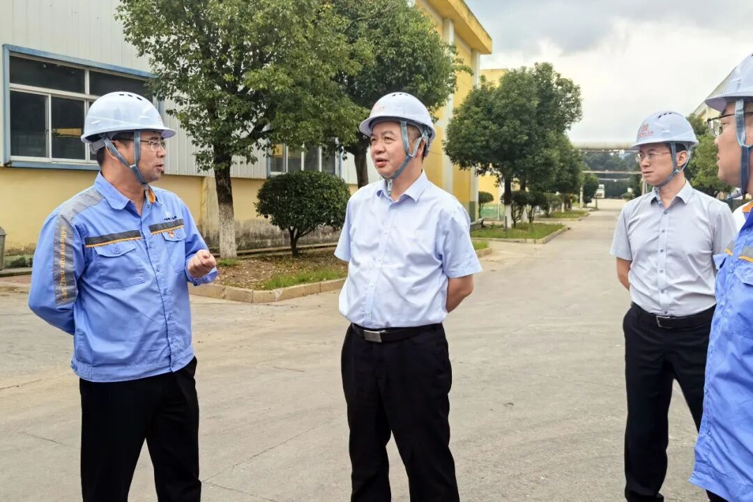 杨国安赴安远新材调研